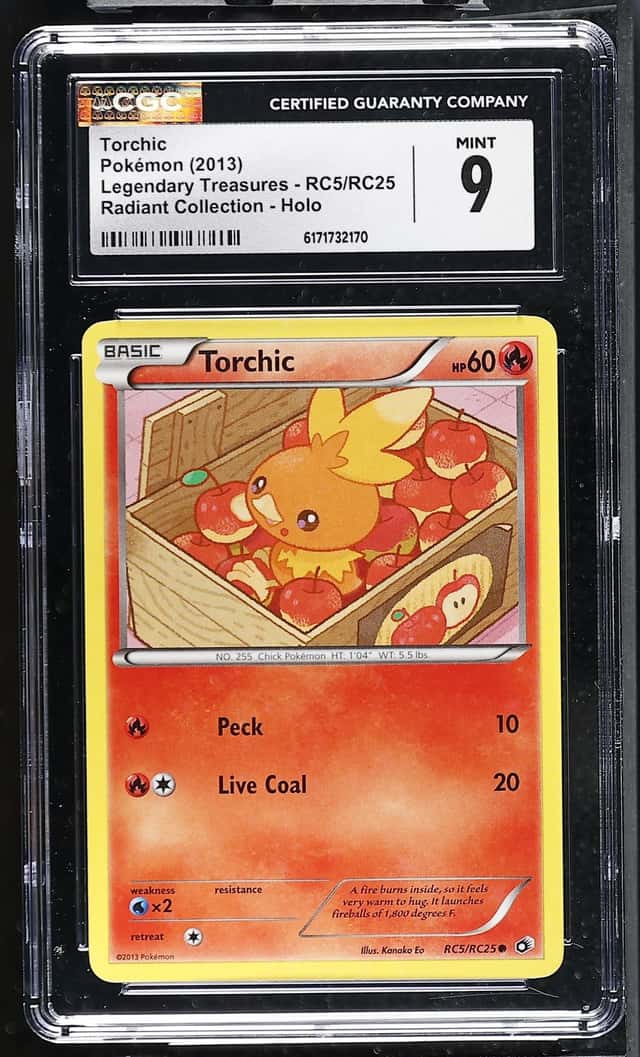 Torchic