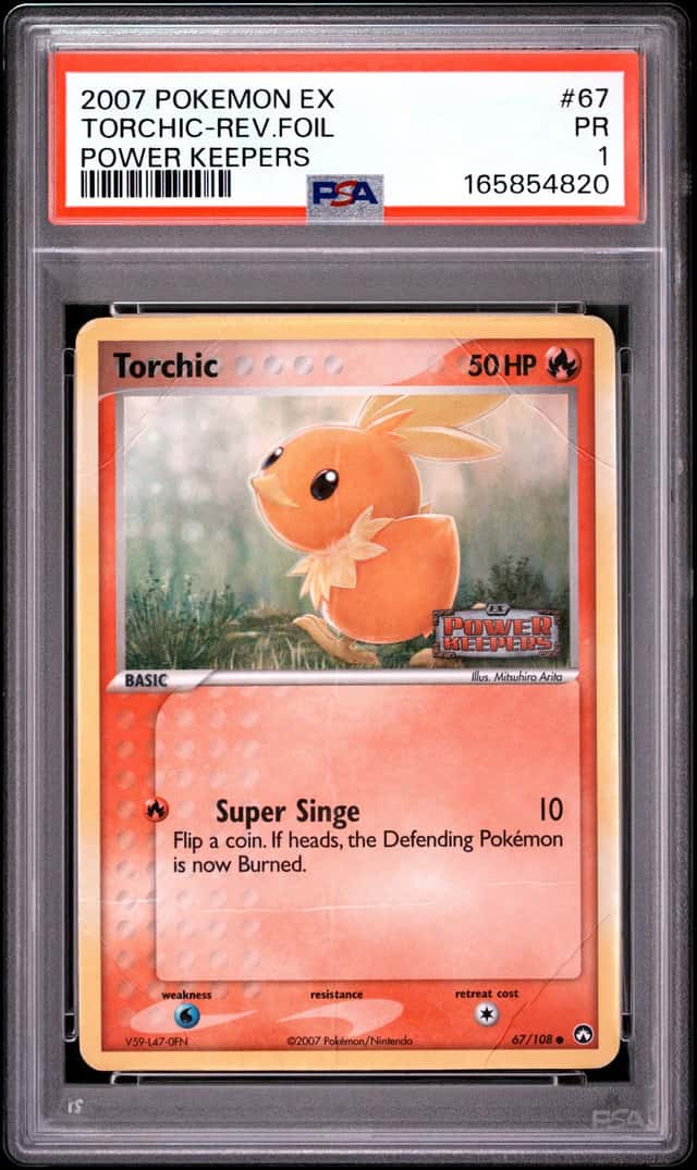 Torchic