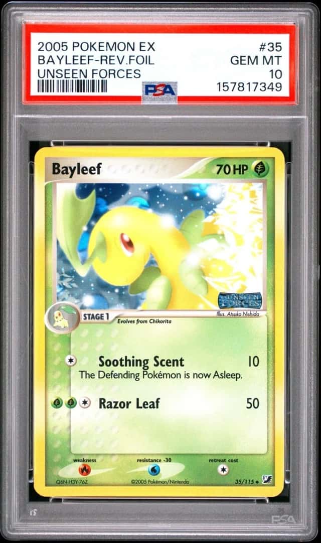 Bayleef