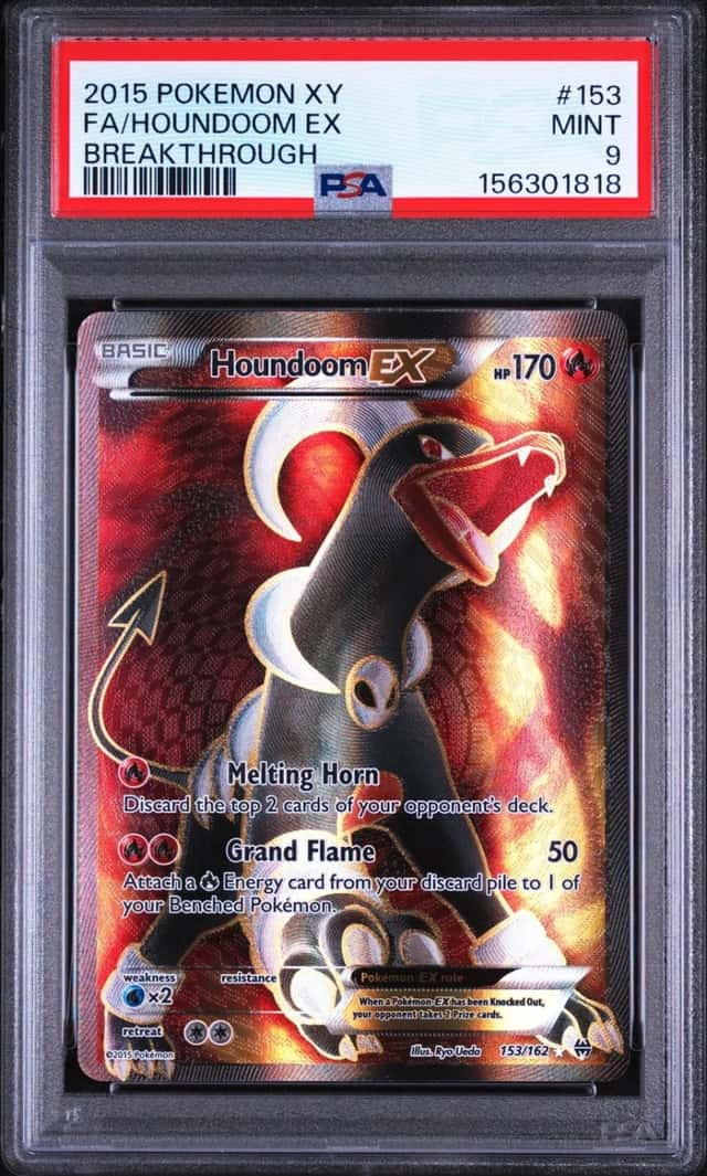 Houndoom EX