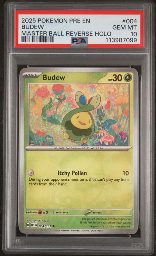 Budew