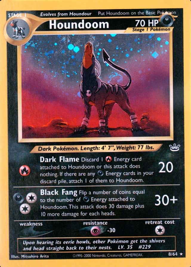 Holo