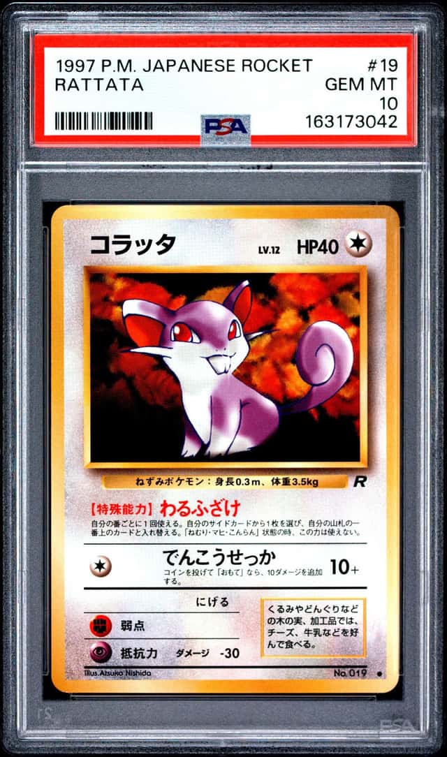 Rattata