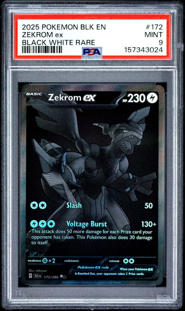 ZEKROM ex