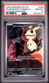 Team Rocket'S Mimikyu