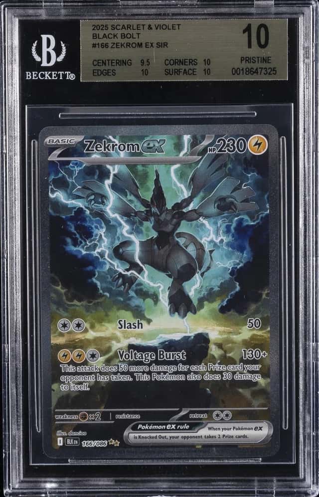 ZEKROM ex