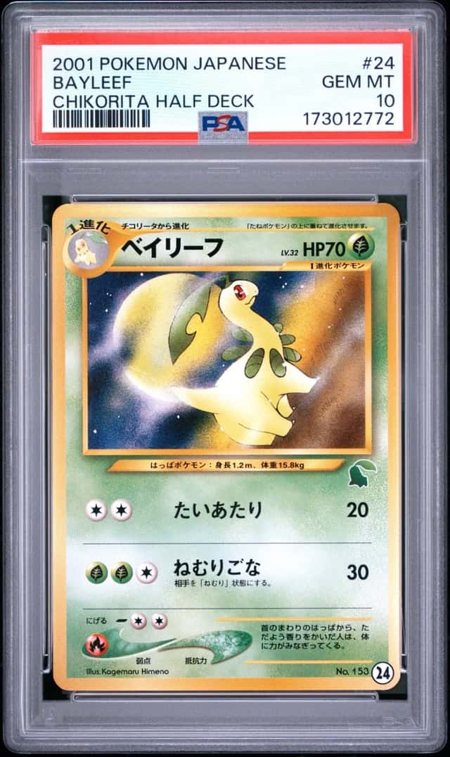 Bayleef