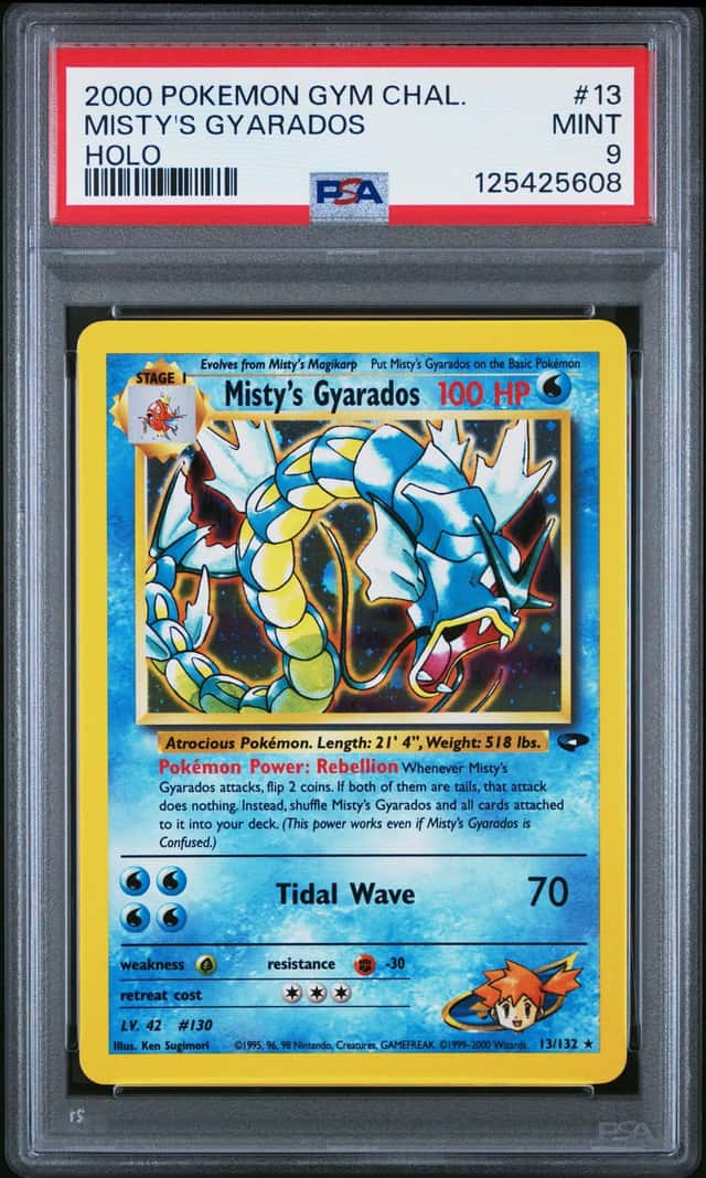 Misty's Gyarados