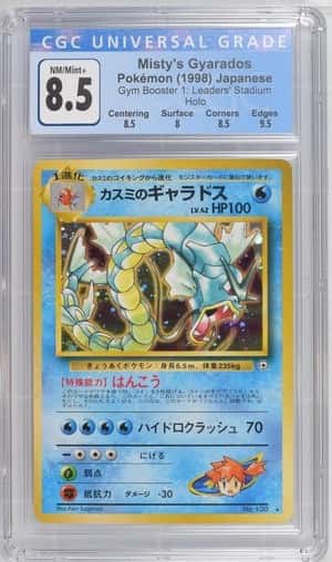 Misty's Gyarados