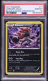 Zoroark