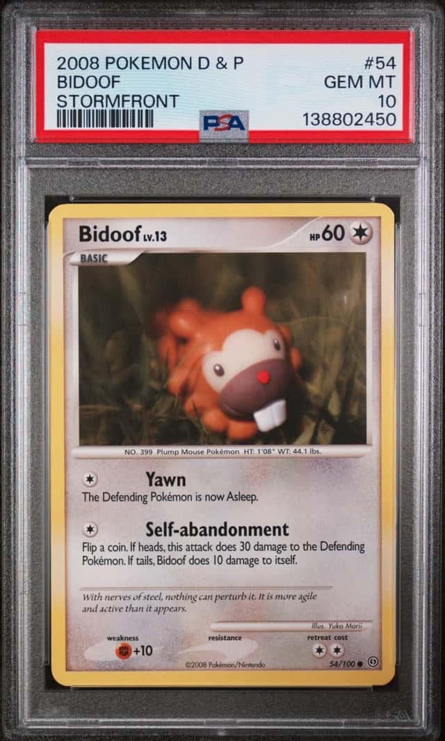 Bidoof