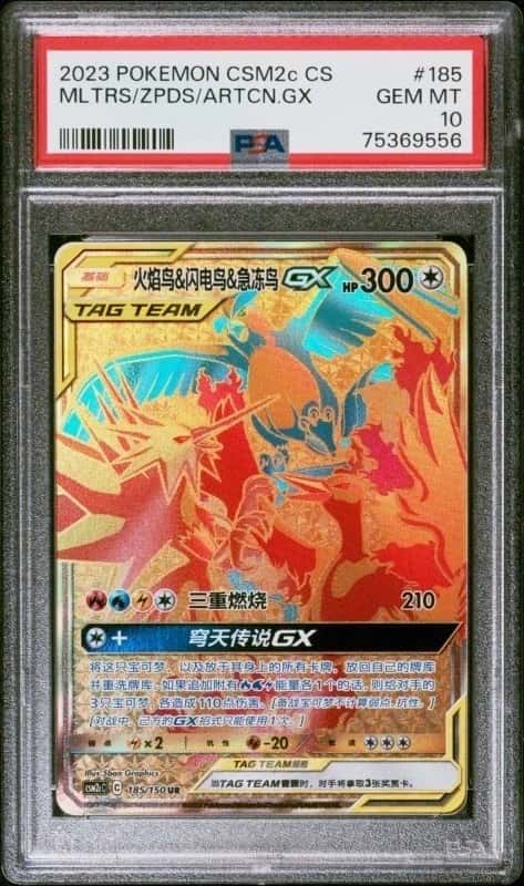 MLTRS/ZPDS/ARTCNO GX