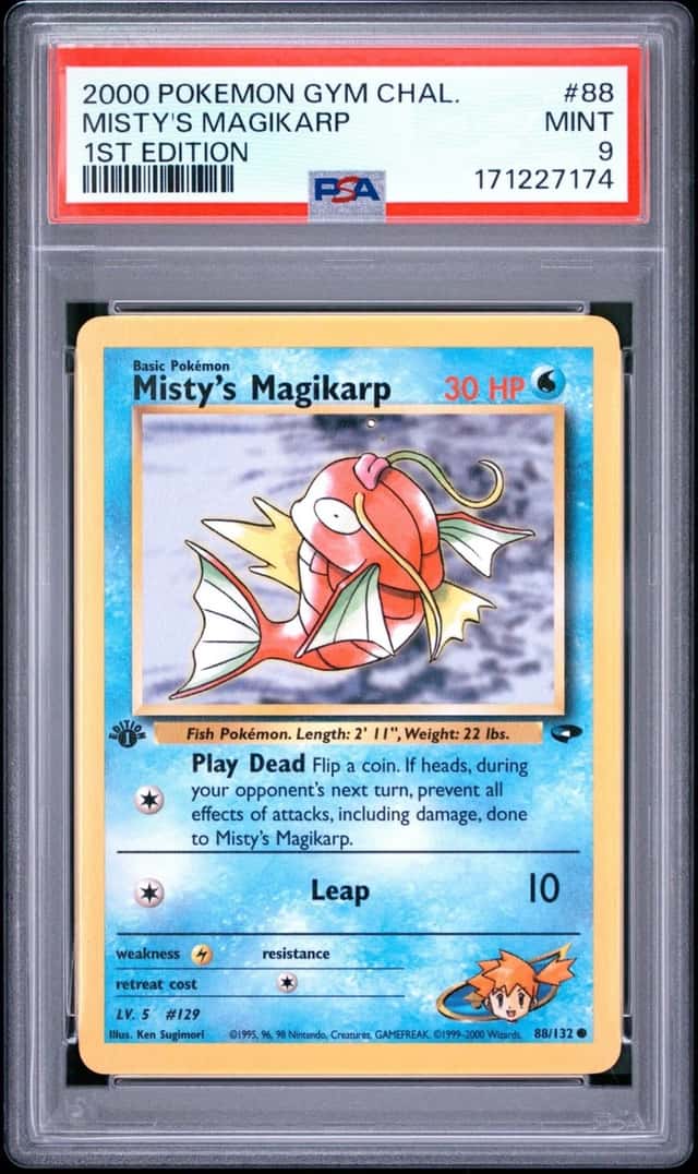Misty's Magikarp