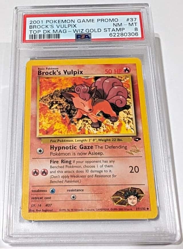 Brock's Vulpix
