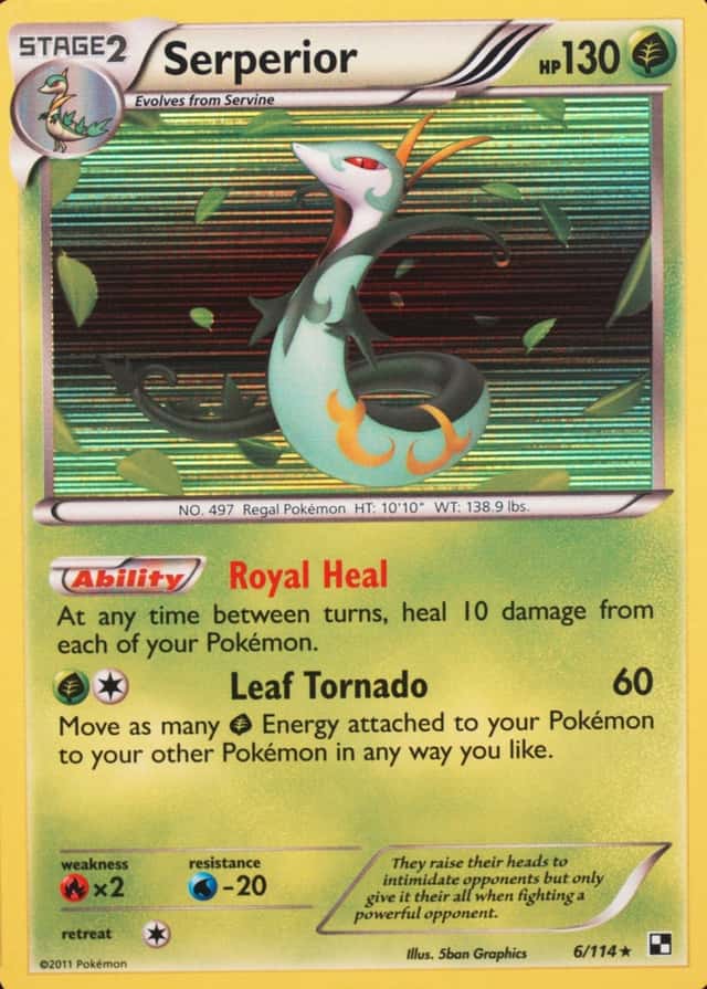 Holo
