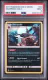 Sharpedo
