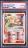 Chimchar