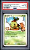Turtwig Gl