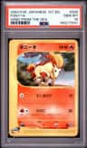 Ponyta
