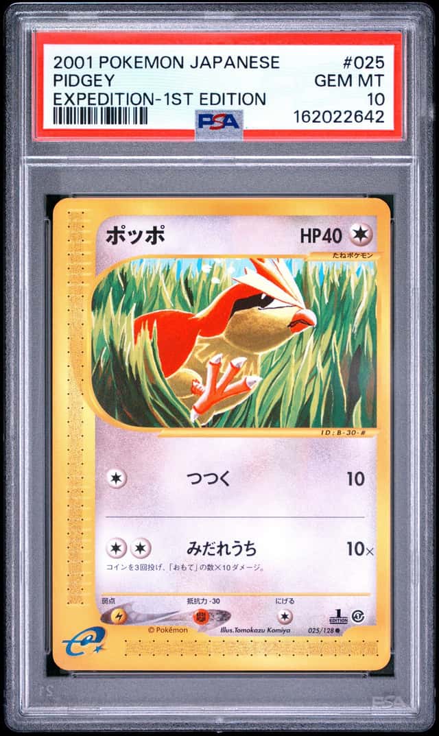 Pidgey