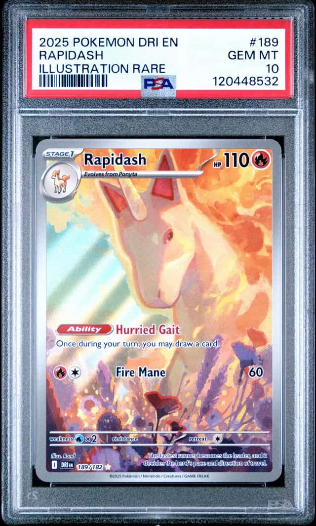 Rapidash