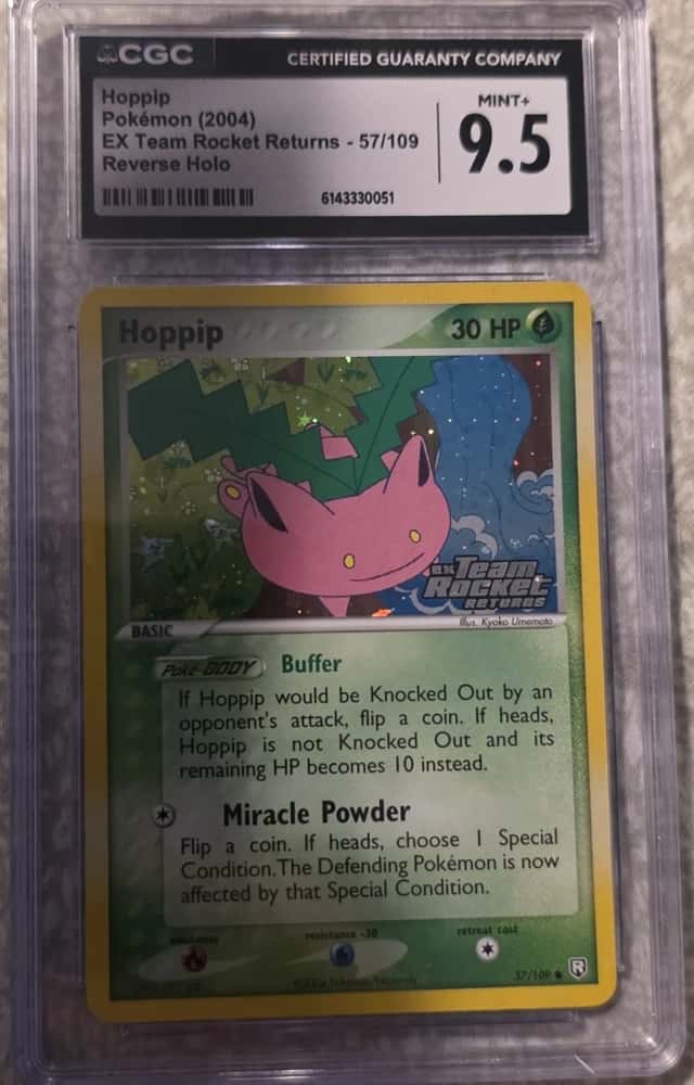 Hoppip