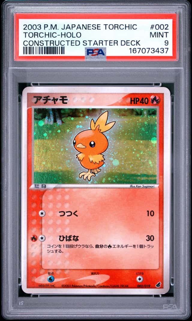 Torchic