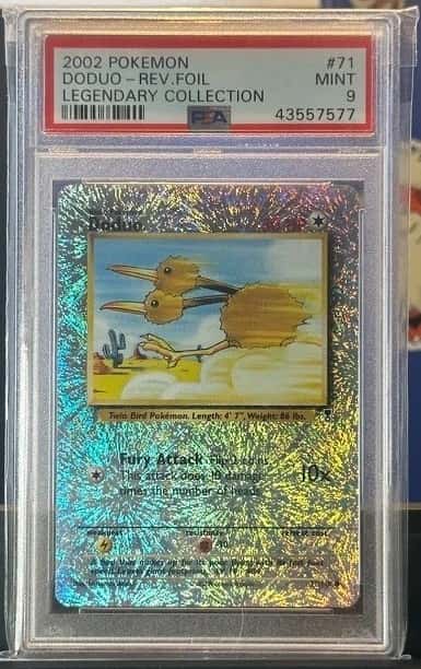 Doduo