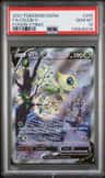 Celebi V