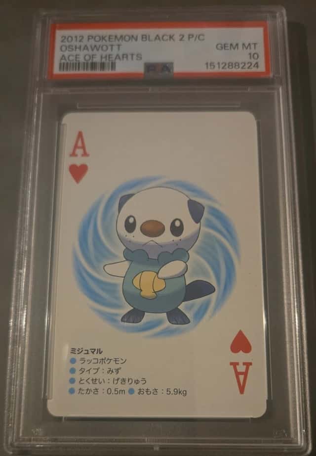 Oshawott