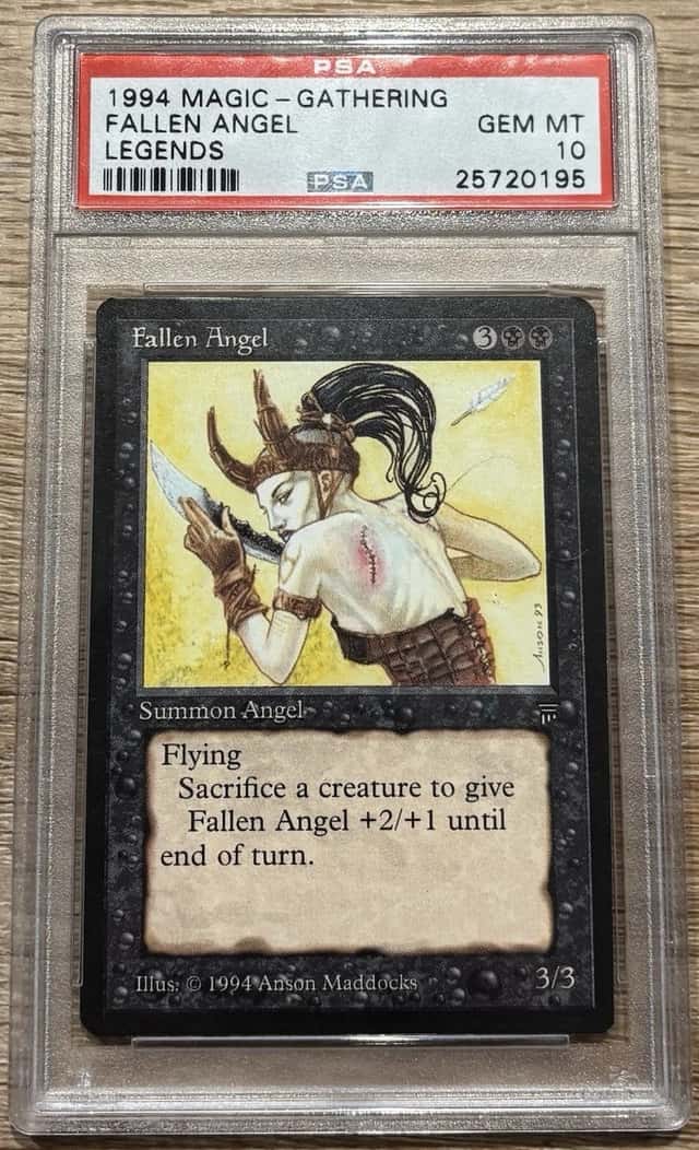 Fallen Angel
