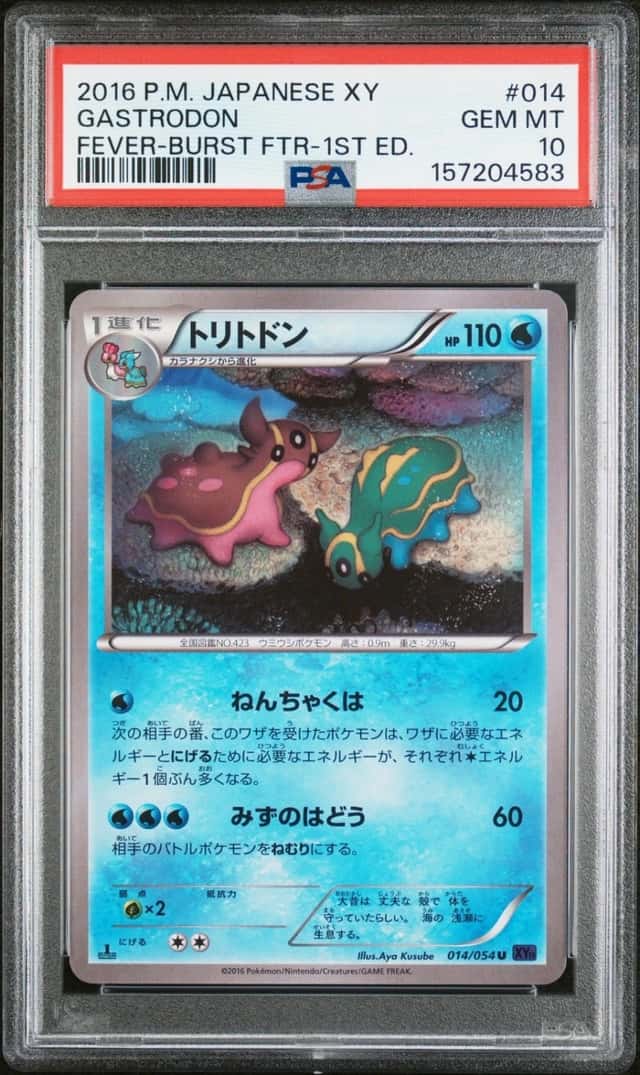 Gastrodon
