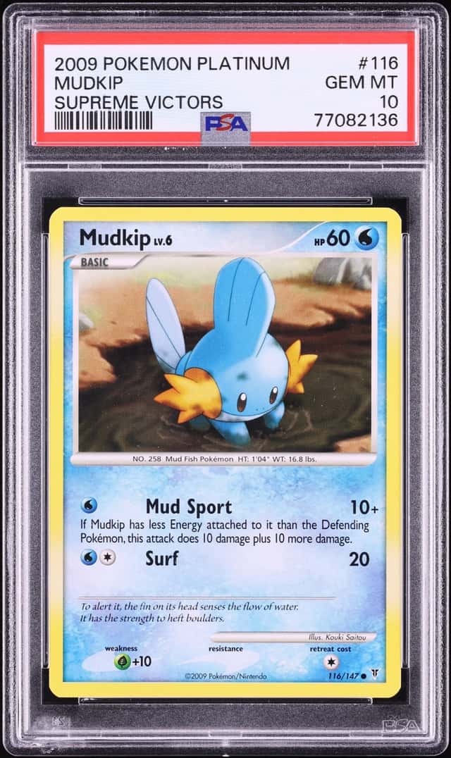 Mudkip