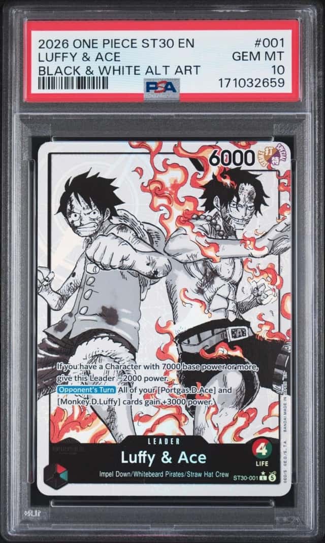 Luffy & Ace