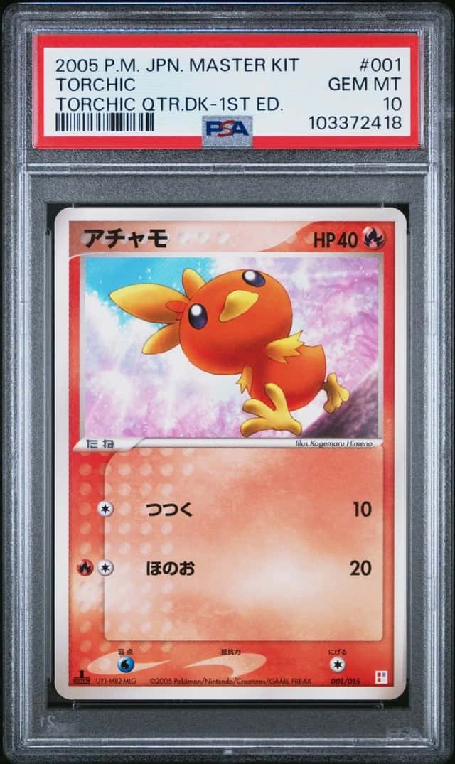 Torchic
