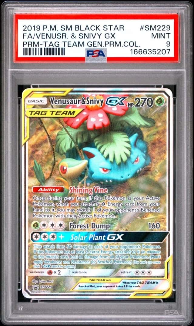 Venusaur & Snivy GX