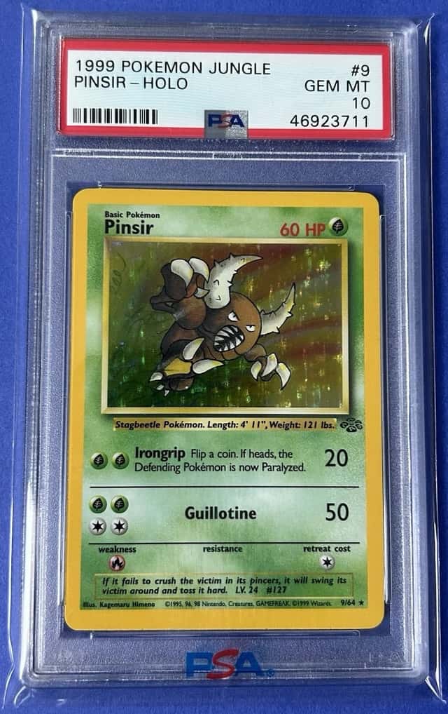 Pinsir