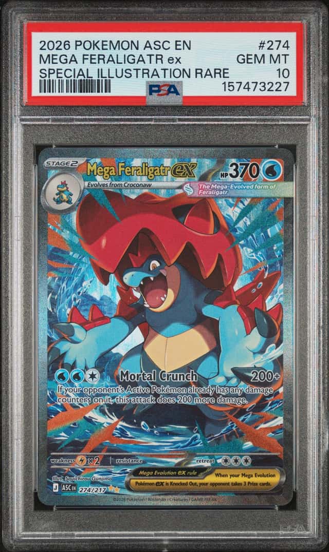 MEGA FERALIGATR ex