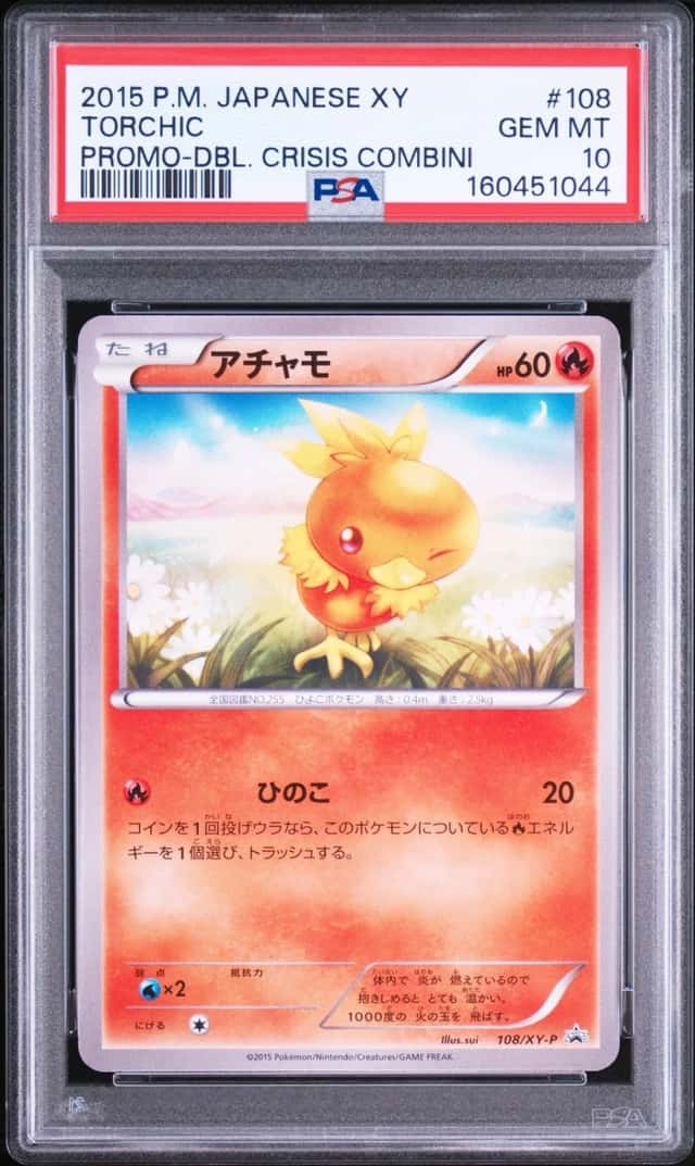 Torchic