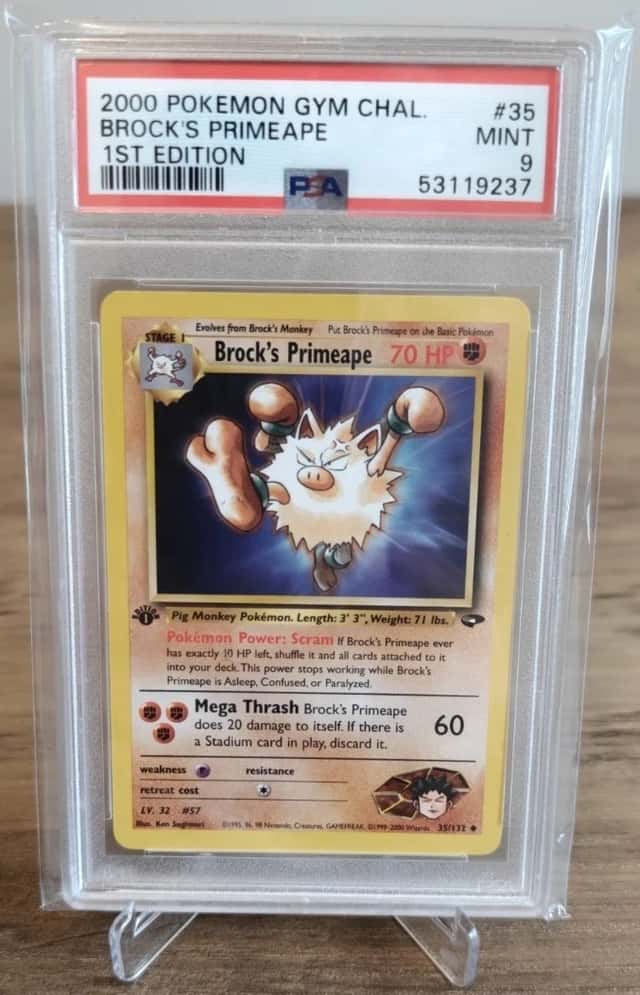 Brock's Primeape