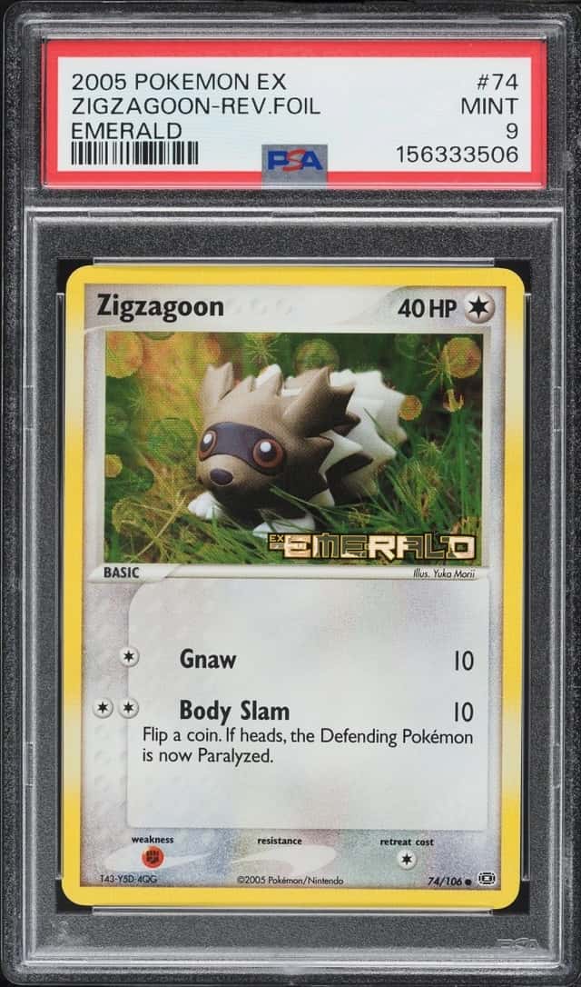 Zigzagoon