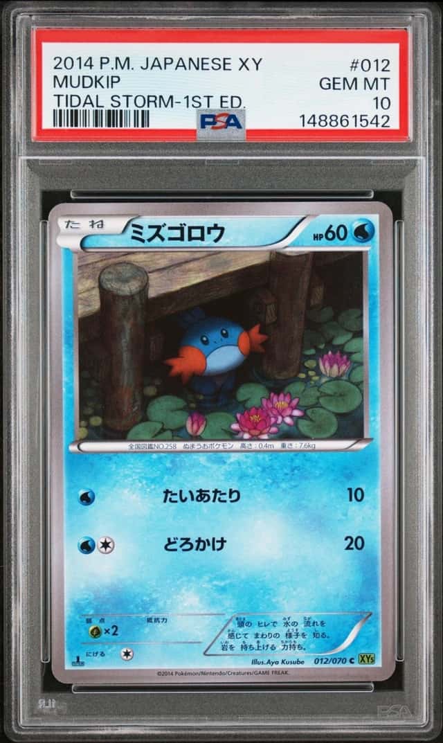 Mudkip