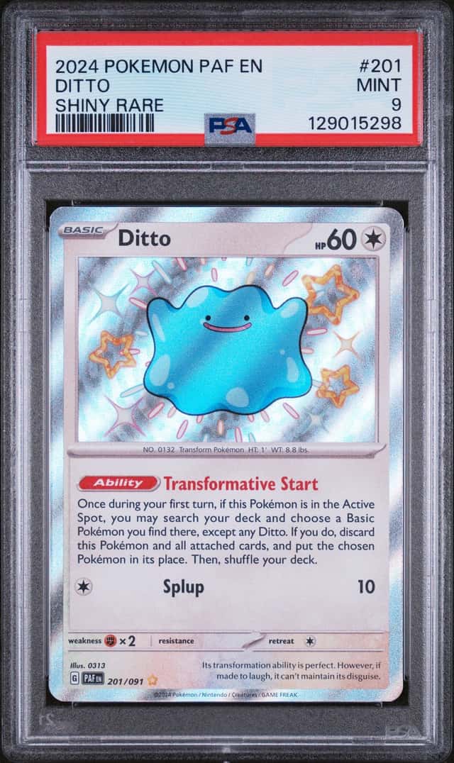 Ditto