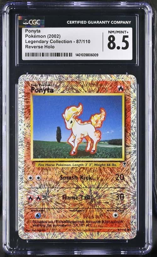Ponyta