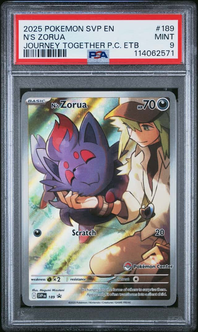 N's Zorua