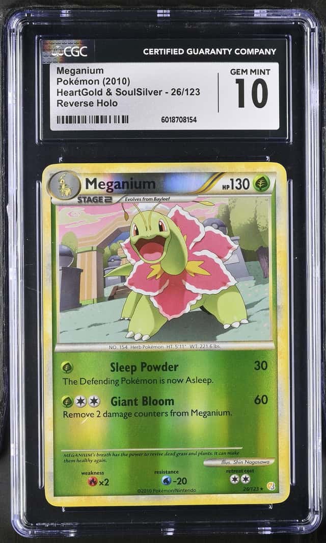 Meganium