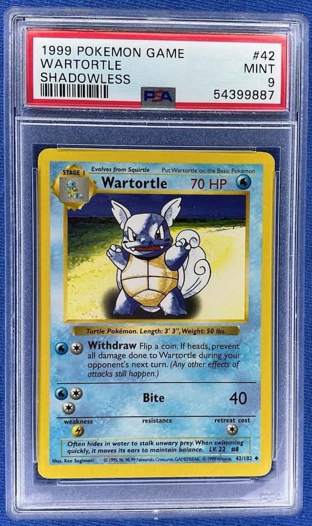 Wartortle