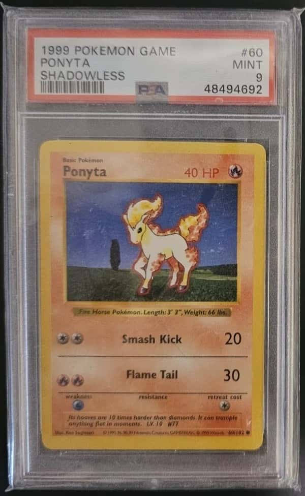 Ponyta