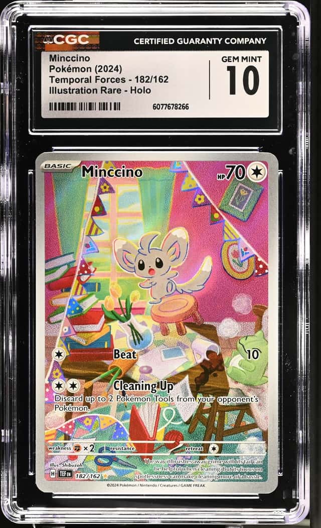 Minccino