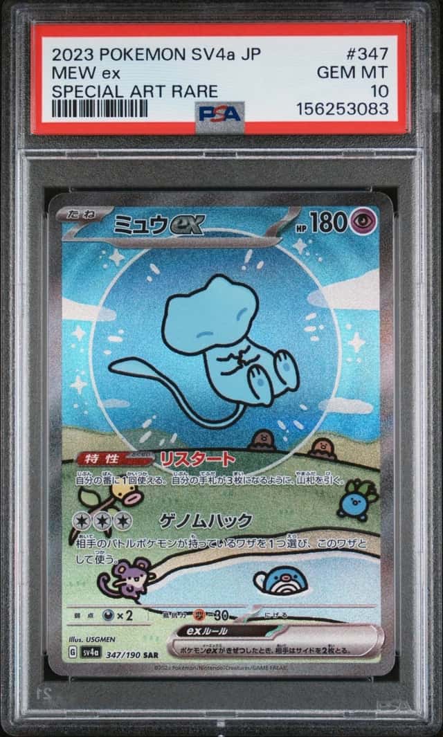 MEW ex